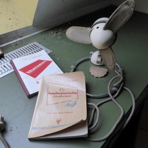 P1020386.JPG