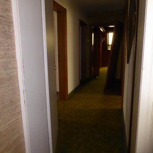 P1020396.JPG