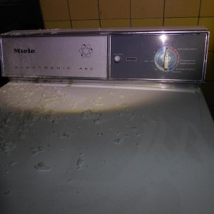 P1020439.JPG