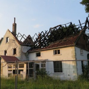 IMG_8826.JPG