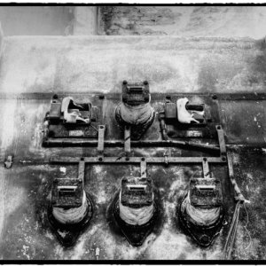DSCF0610_Enhancer_Fotor3.jpg