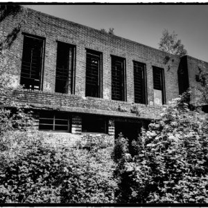 DSCF0533_Enhancer_Fotorx.jpg