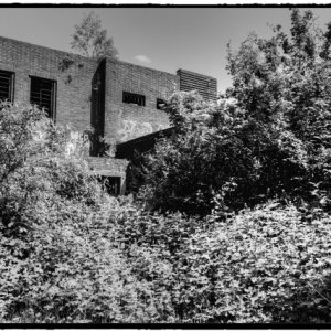 DSCF0567_Enhancer_Fotorx.jpg