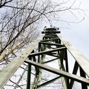 Westfa_2__11.JPG