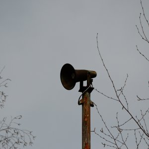 Westfa_3__23.JPG