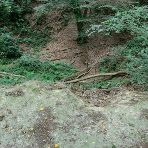 Liedberg_2__26.JPG