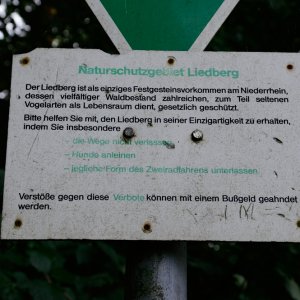 Liedberg_2__29.JPG