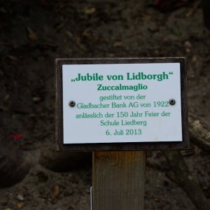 Liedberg_3__16.JPG
