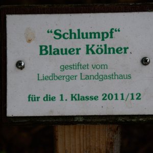 Liedberg_3__18.JPG