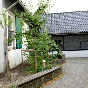 Liedberg_3__23.JPG