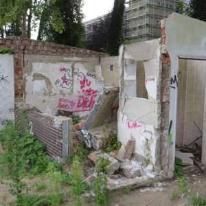 IMG_3575.JPG