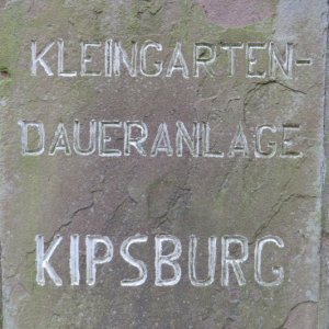 IMG_3587.JPG