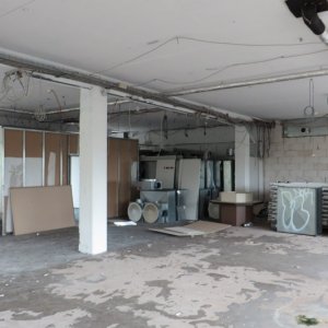 IMG_3384.JPG
