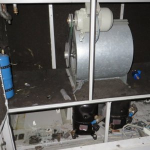 IMG_3489.JPG