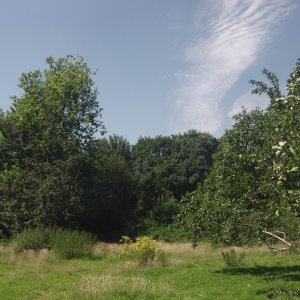 IMGA0015.JPG