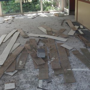 IMGA0018.JPG