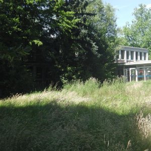 IMGA0043.JPG