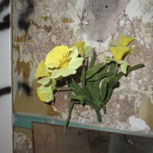IMG_6053.JPG