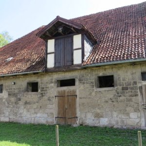 IMG_4407.JPG