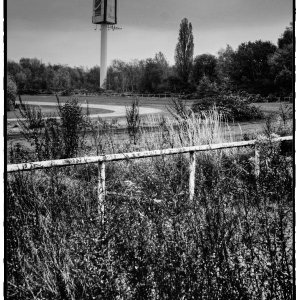 DSCF2817_Enhancer_Fotorx.jpg