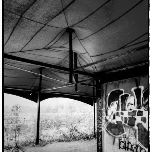 DSCF2826_Enhancer_Fotorx.jpg