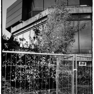 DSCF2836_Enhancer_Fotorx.jpg