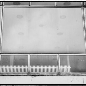 DSCF2835_Enhancer_Fotorx.jpg