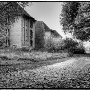 DSCF2755_Enhancer_Fotory.jpg
