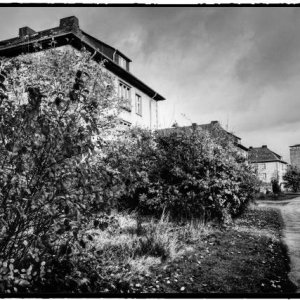 DSCF2770_Enhancer_Fotory.jpg