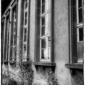 DSCF2762_Enhancer_Fotory.jpg