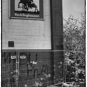 DSCF2857_Enhancer_Fotorx.jpg