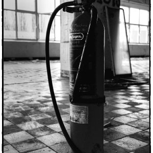 DSCF3349_Enhancer_Fotorx.jpg