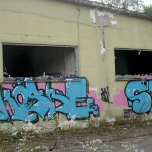 VB36.jpg