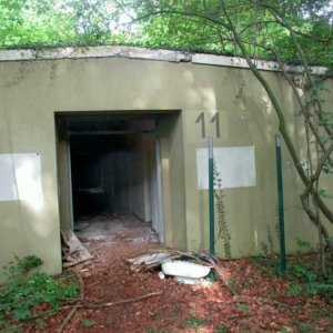 VB70.jpg