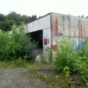 VB80.jpg