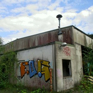 VB81.jpg