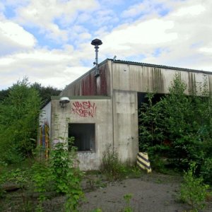 VB82.jpg