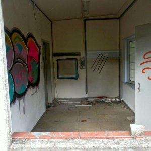 VB84.jpg