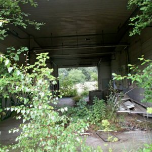 VB85.jpg