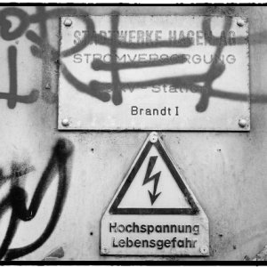 DSCF3943_Enhancer_Fotor3.jpg