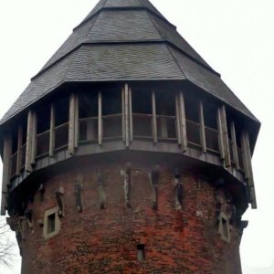 BL79.jpg