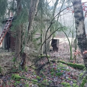 10-Im-Steinbruch-Huette-3-Schaltkasten.JPG