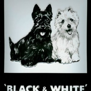 black-white-whisky-hunde.jpg