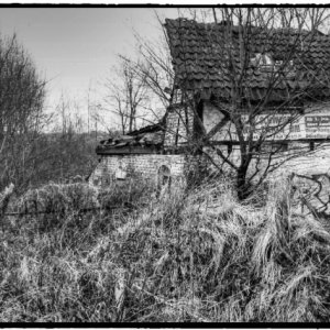 IMG_0500_Enhancer.jpg