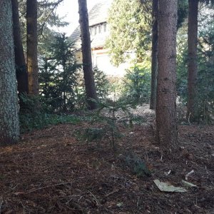 20170120_133840.jpg
