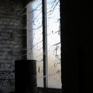 N1 (70).JPG
