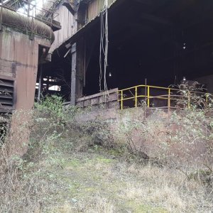 20170226_114627.jpg