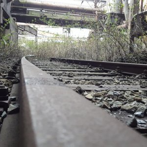 20170226_115947.jpg