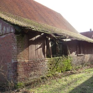 IMG_4495.JPG