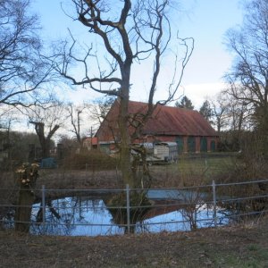 IMG_4510.JPG